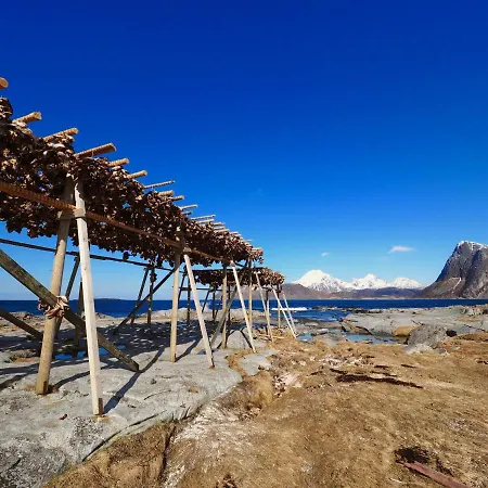 別荘 Eggum Rorbuer