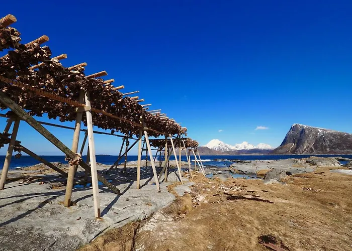 Tatil Evi Eggum Rorbuer